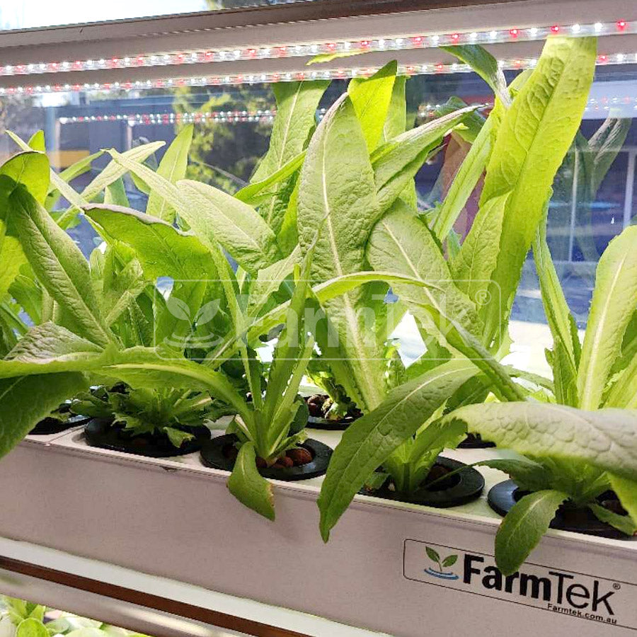 AB Fertilizers Hydroponic Nutrients HydroGrow High Concentration 1L + 1L (Makes 400 Ltr)