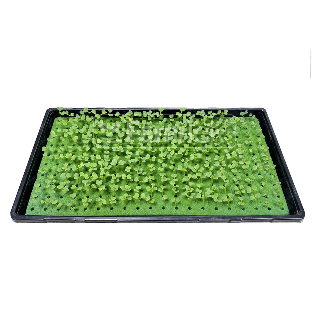 Farmtek AquaCube Seedling Plug 36x36x40mm Germination Starter Cubes (980 cubes/10 Sheets/1 Box @ $0.10/cube)