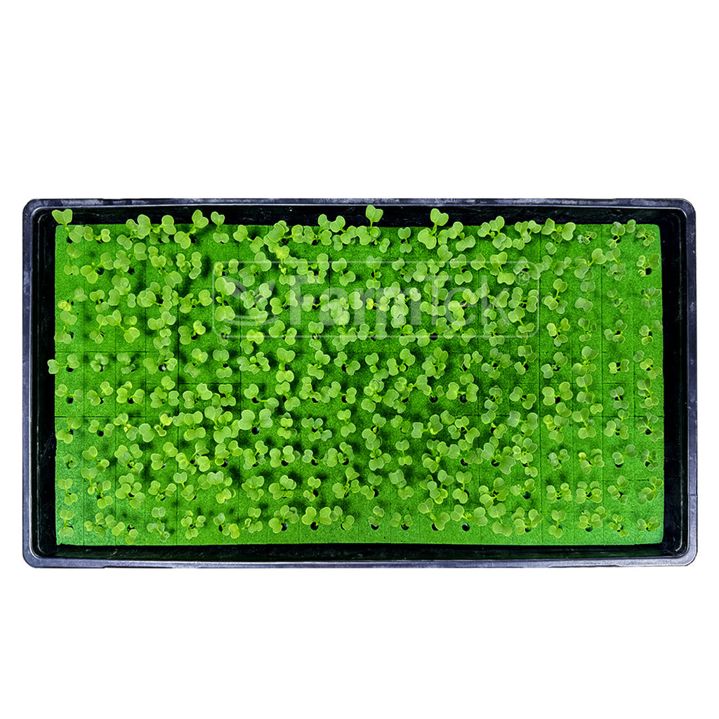 Farmtek AquaCube Seedling Plug 25x25x35mm Germination Starter Cubes (2,400 cubes/12 Sheets/1 Box @ $0.05/cube)