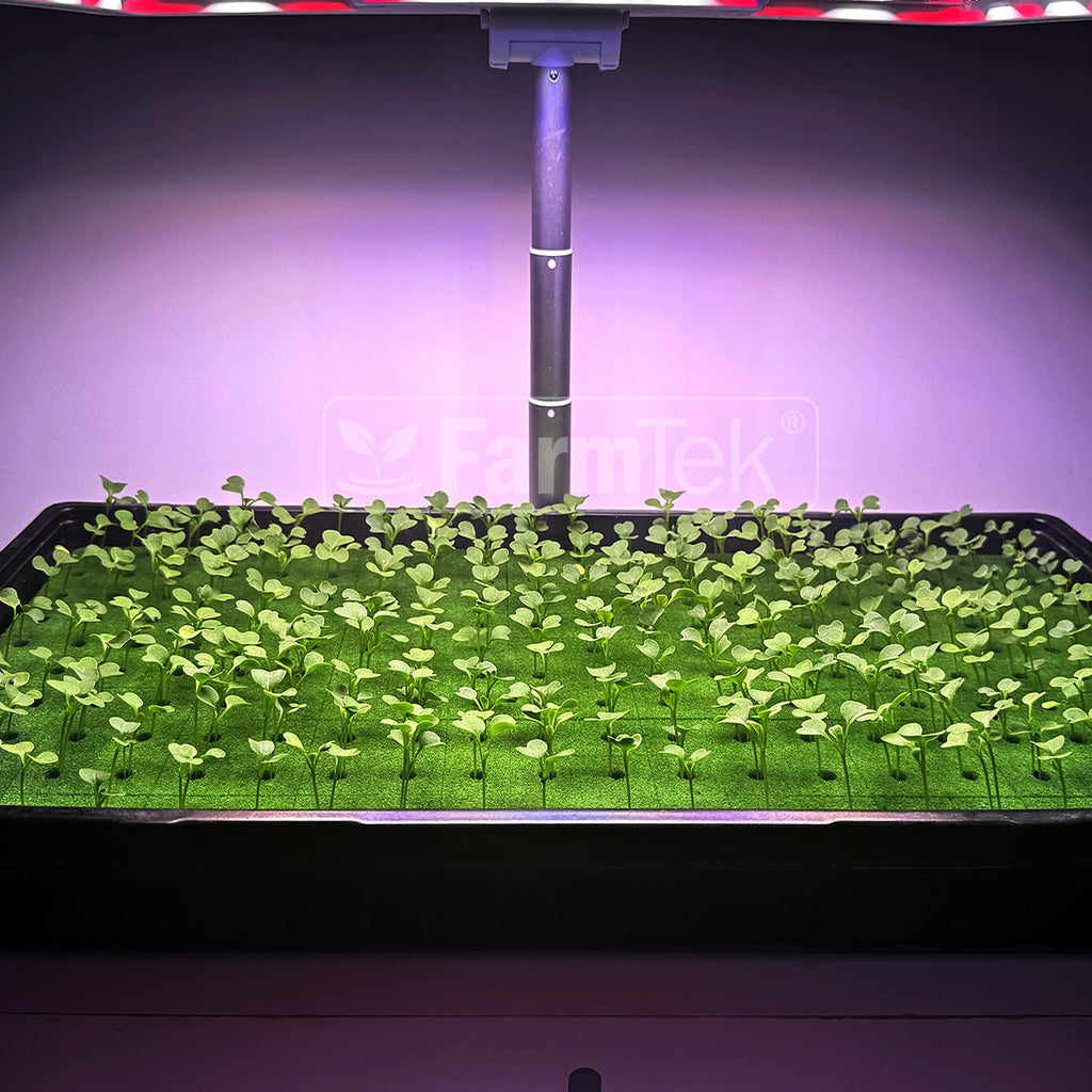 Farmtek AquaCube Seedling Plug 25x25x35mm Germination Starter Cubes (200 Cubes/1 sheet @ $0.065/cube)