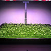 Farmtek AquaCube Seedling Plug 36x36x40mm Germination Starter Cubes (980 cubes/10 Sheets/1 Box @ $0.10/cube)