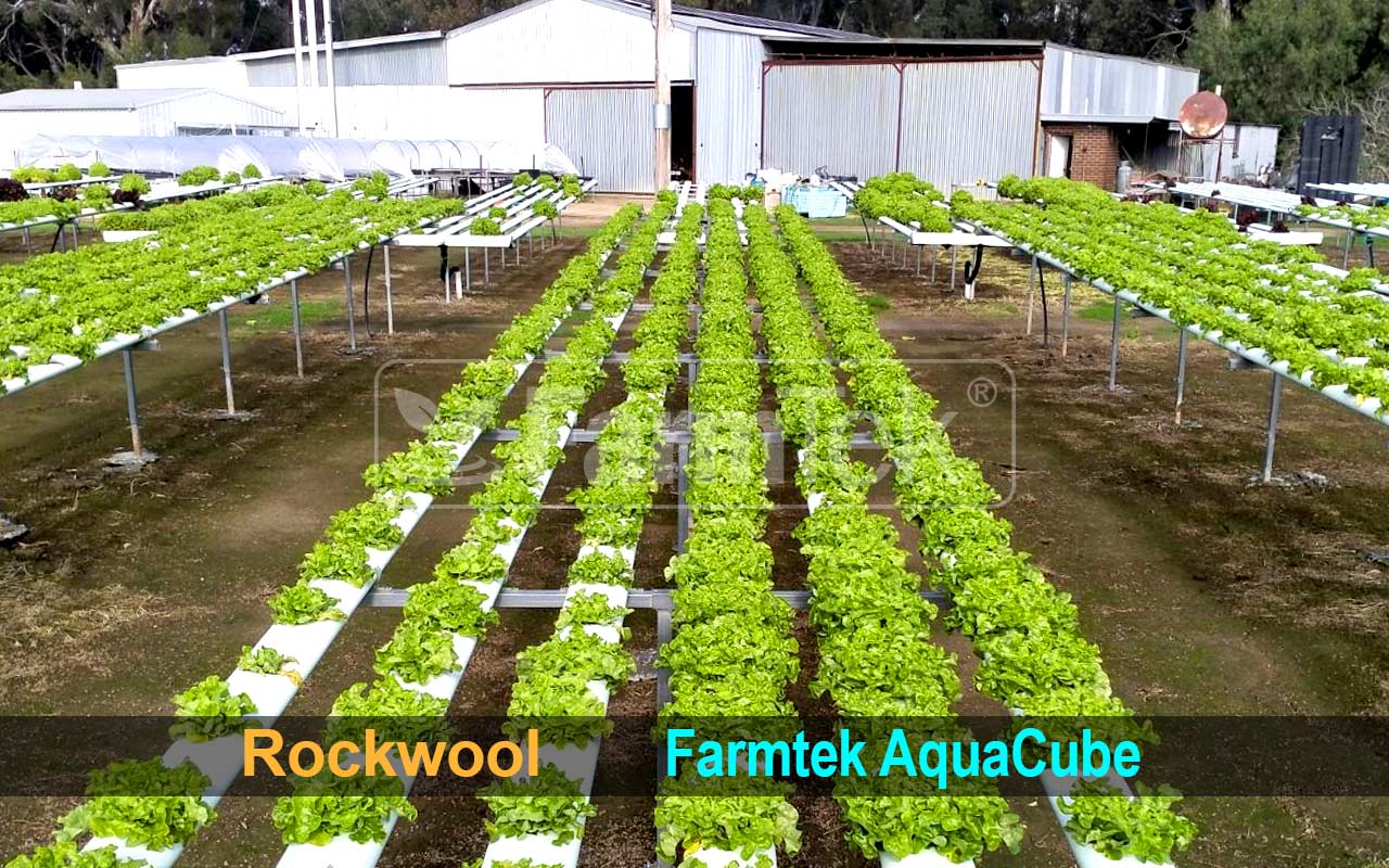 Farmtek AquaCube propagation slab 36x36x40mm (98 cubes/1 Sheet)