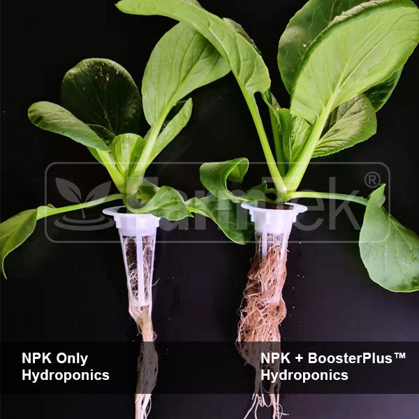 BoosterPlus™ Fulvic Acid Organic Nutrient Supplement For Plants Powerful Bio-Stimulants 450g (makes 1,800 L / 1.8 Tons)