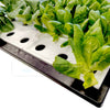 Farmtek Hydroponic DWC Tray Scalable To Multiple Trays System (DWC-24)