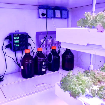 Automated PH EC Controller with Dosing Pumps Commercial Hydroponics (PHEC-B2)