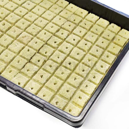 Rockwool Cubes Plugs Hydroponics Seedling Propagation Grow Medium 25x25x30mm Top Split (Box 5600 cubes @ $0.079 each)