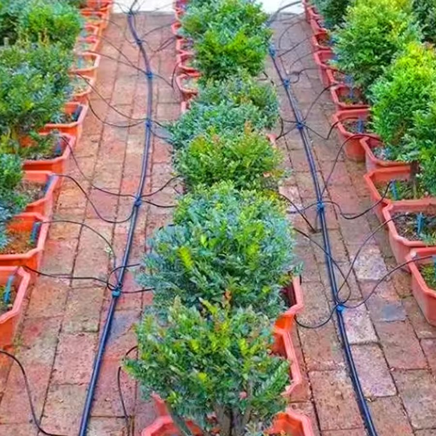 Drip Arrow 1-IN-4-OUT Drip Irrigation (5 Sets)