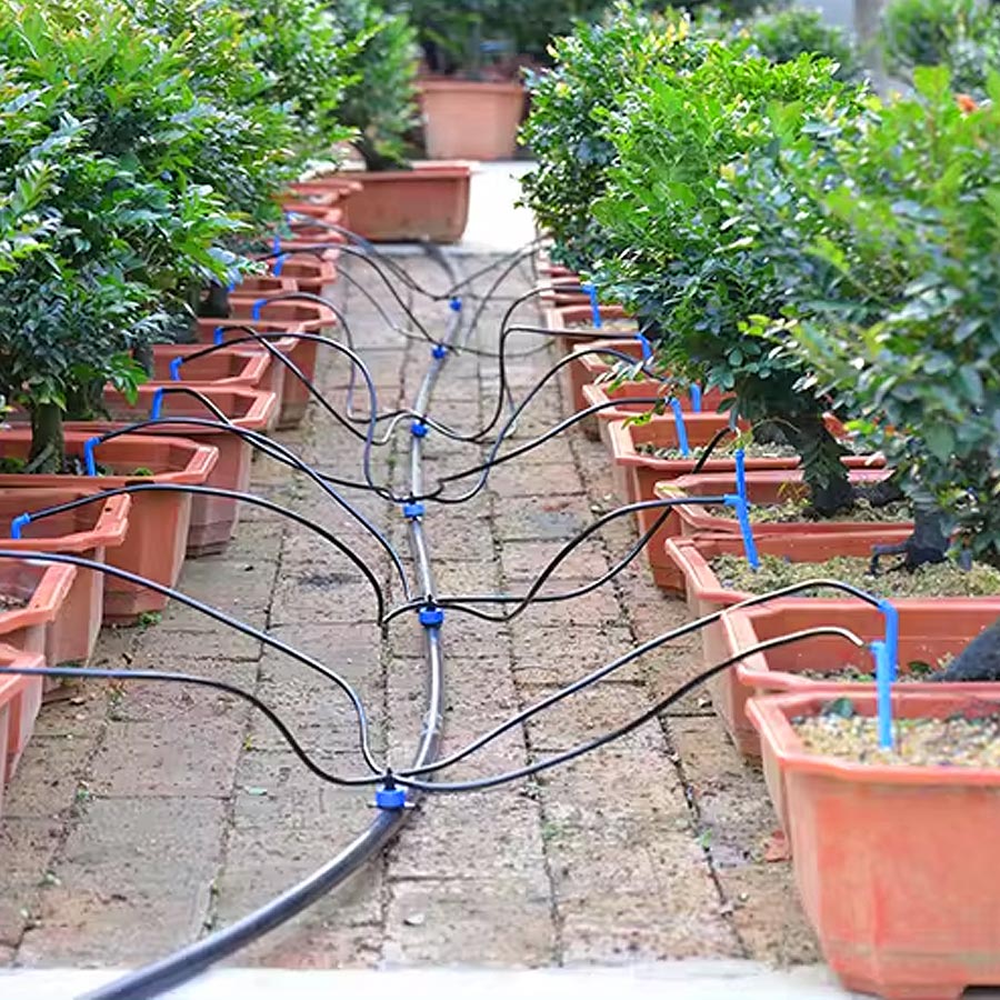 Drip Arrow 1-IN-4-OUT Drip Irrigation (5 Sets)