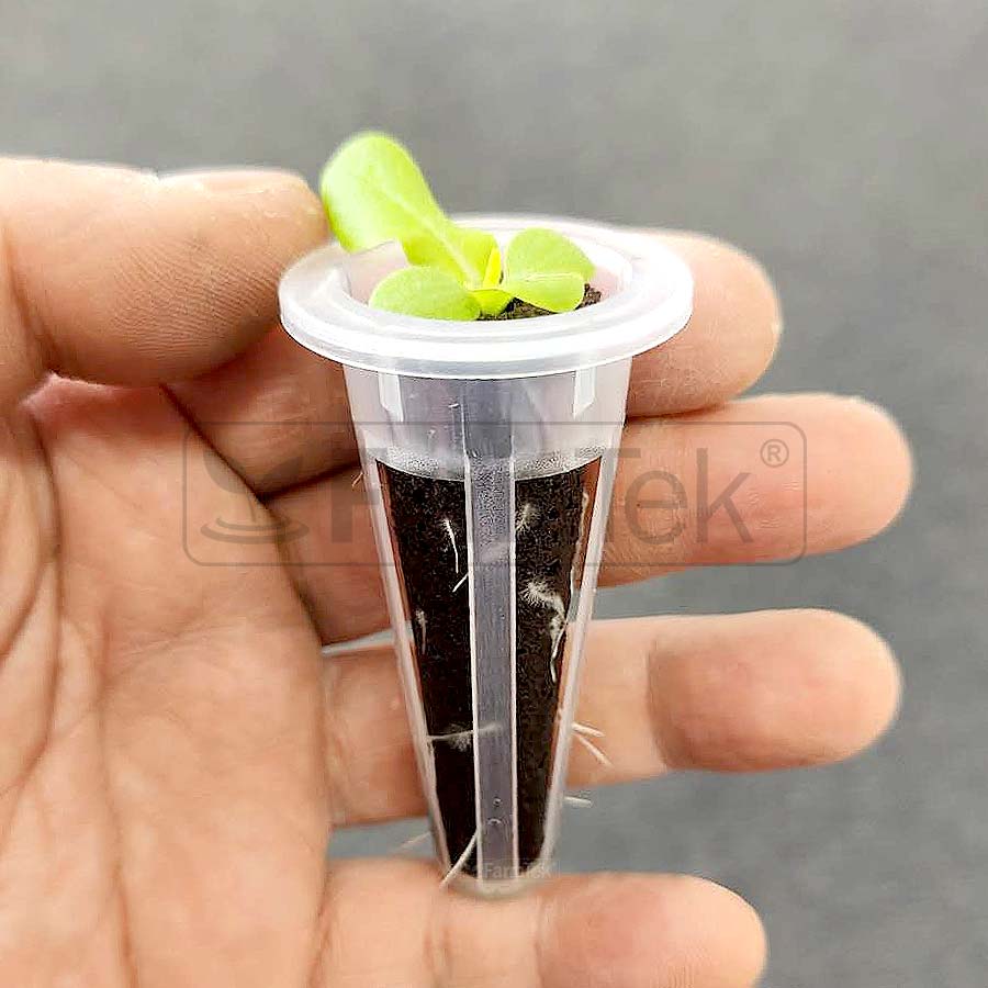 Moss Peat Sponge Plug The Best Hydroponics Grow Medium for SS120 HydroTower (Pack of 30)