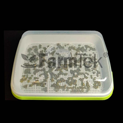 Microgreens Production Kit Set With Mesh Tray & Lid (Green)