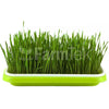 Microgreens Production Kit Set With Mesh Tray & Lid (Green)
