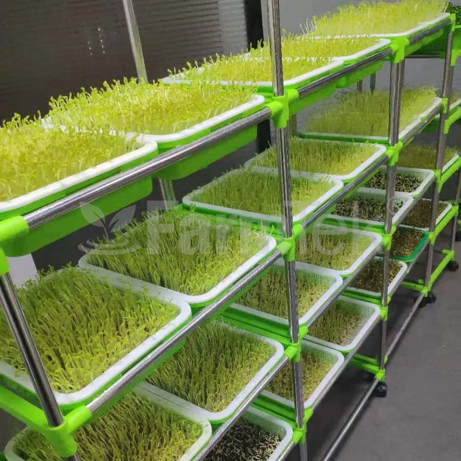 Microgreens Production Kit Set With Mesh Tray & Lid (Green)