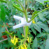 Tomato Pegs Cucumber Climbing Plants 20mm (24x)