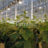 Tomato Hooks (6x) Support String 10m Cucumber Greenhouse Garden Trellis