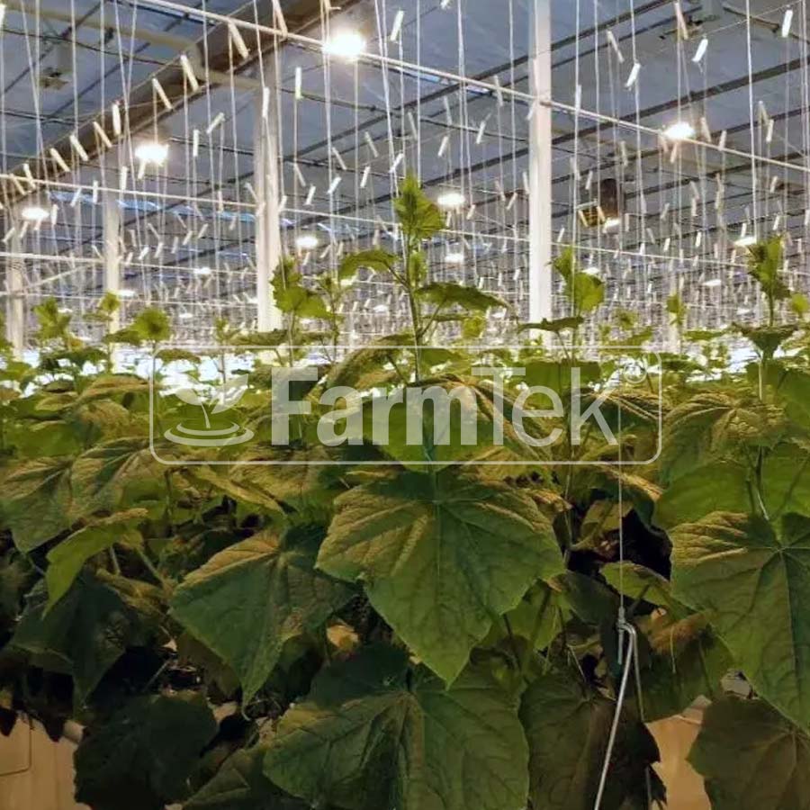 Tomato Hooks (6x) Support String 10m Cucumber Greenhouse Garden Trellis