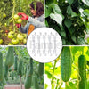 Tomato Hooks (6x) Support String 10m Cucumber Greenhouse Garden Trellis