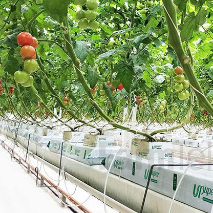 Rock Wool Slab 1000x200x75mm Hydroponics Tomato Cucumber Strawberry Grow Medium