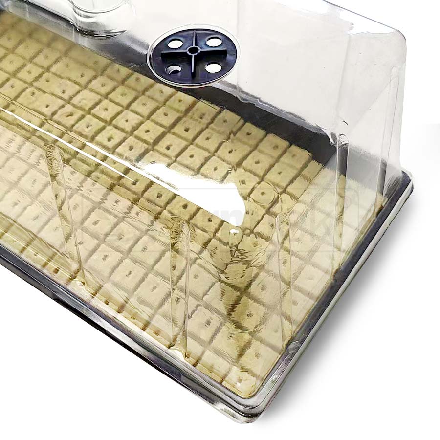 Rock Wool Cubes Plugs Hydroponics Propagation Grow Medium 25x25x40mm Top Split (100 pcs)