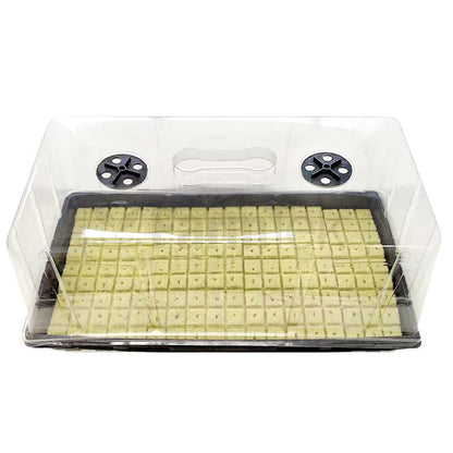 Professional Hydroponic Propagation Kit (Tray+Dome+Rockwool Cubes)