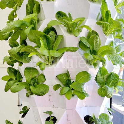 Hydroponic Tower System Kit (48-96 plants) Vertical Farming Aeroponic Tower (PT48)