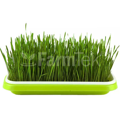 Microgreens Production Kit Set With Mesh Tray & Lid