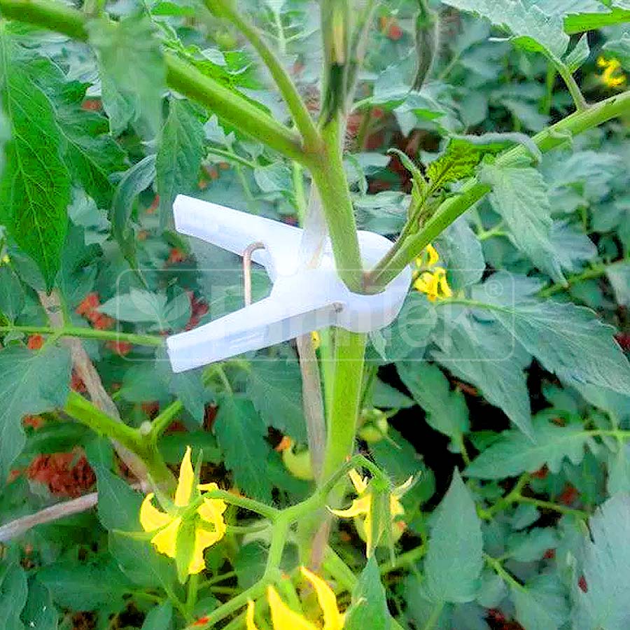 Tomato Pegs (24x)