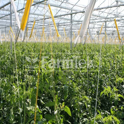 Tomato Hooks (6x) Support String 10m Greenhouse Garden Trellis